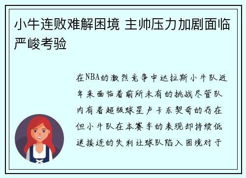 小牛连败难解困境 主帅压力加剧面临严峻考验